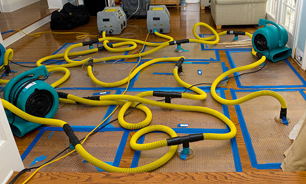 Professional Water Extraction technician working in Holt, MI